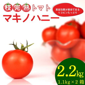 【ふるさと納税】 枝完熟マキノハニー トマトップ 高リコピン うまみ トマト とまと 野菜 やさい 新鮮 産地 直送 おいしい サラダ 夏野菜 静岡県 牧之原市