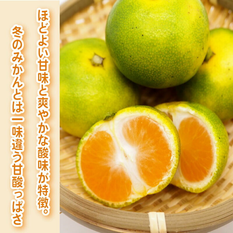 【ふるさと納税】 みかん 日南のひめ 5kg 先行予約 柑橘 ミカン 蜜柑 極早生 ビタミン フルーツ おいしい 早生 果物 果実 健康 美容 大石農園 静岡県 牧之原市