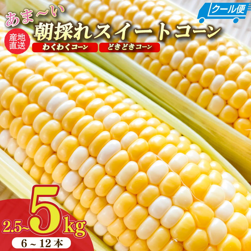 【ふるさと納税】【予約受付 令和8年6月から発送開始】 とうもろこし 朝採れ 野菜 スイーツ 約 2.5kg ~ 5kg 糖度18～19度 予約受付 予約 甘い あまい レジャー バーベキュー BBQ 産地直送 新鮮 おやつ 送料無料 数量限定 期間限定 静岡県 牧之原市 もろこしショップぐりぱ