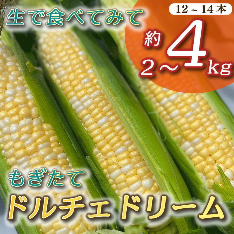 とうもろこし もぎたて ドルチェドリーム 約 2~4kg 6本~14本 トウモロコシ コーン 美味しい おいしい 茹でとうもろこし 焼きとうもろこし スープ 野菜 やさい バーベキュー BBQ 産地直送 新鮮 生鮮 食品 静岡県 牧之原市 タイラファーム