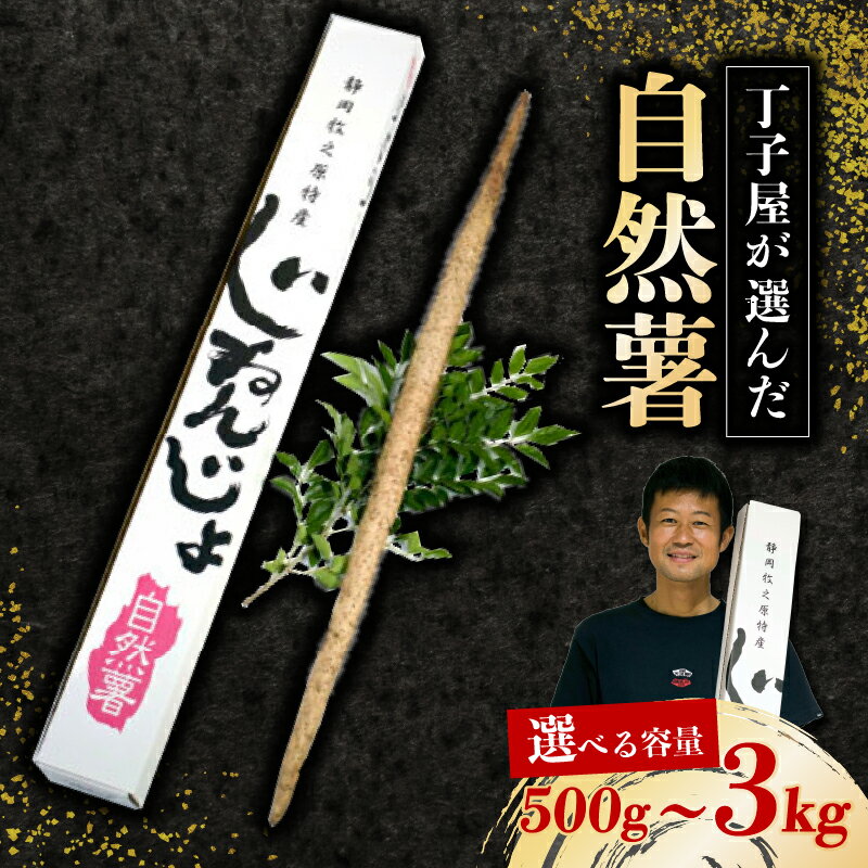ڤդ뤵Ǽǡ 074-6ҲϤΤ500g  3kg ٤  Ų Ƿ