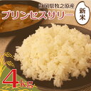 【ふるさと納税】 プリンセスサリー 4kg 米 お米 こめ コメ 白米 精米 新米 ご飯 ごはん おいしい 日用品 国産 エムスクエア・ラボ 静岡県 牧之原市