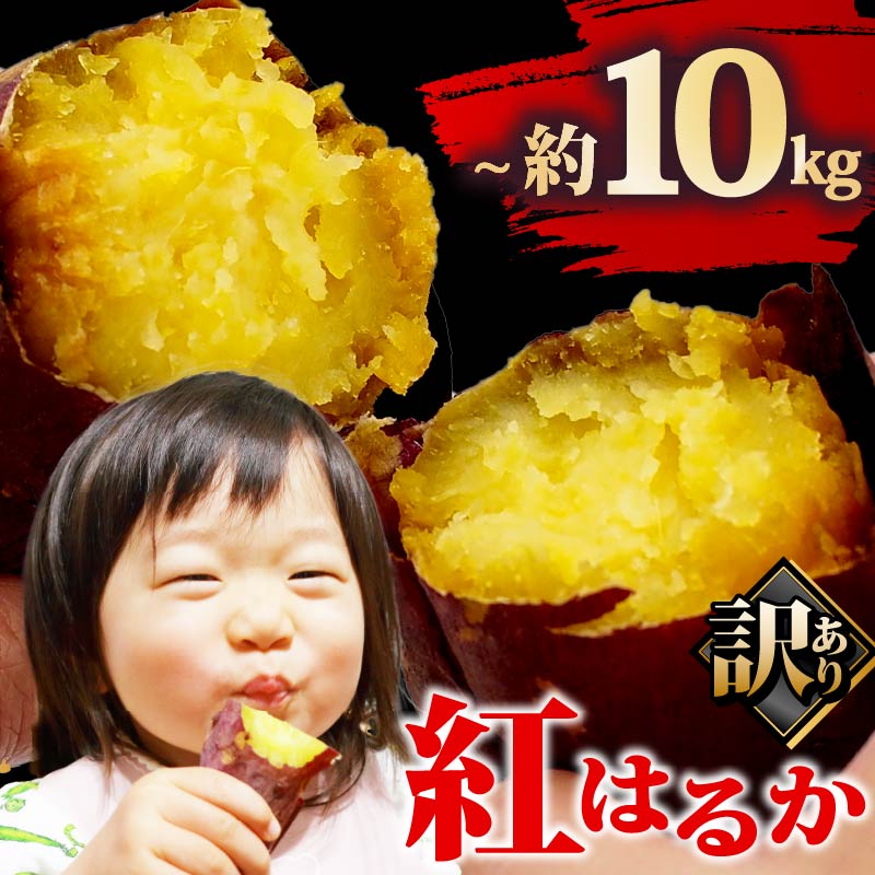 訳あり 紅はるか 約3〜10kg さつまいも サツマイモ 薩摩芋 栄養豊富 食物繊維 健康 プレゼント 国産 贈答 安心 デザート スイーツ おやつ 焼き芋 やきいも 焼きいも 送料無料 和菓子 人気 おすすめ レジャー お取り寄せ マルエス菜園 静岡県 牧之原市