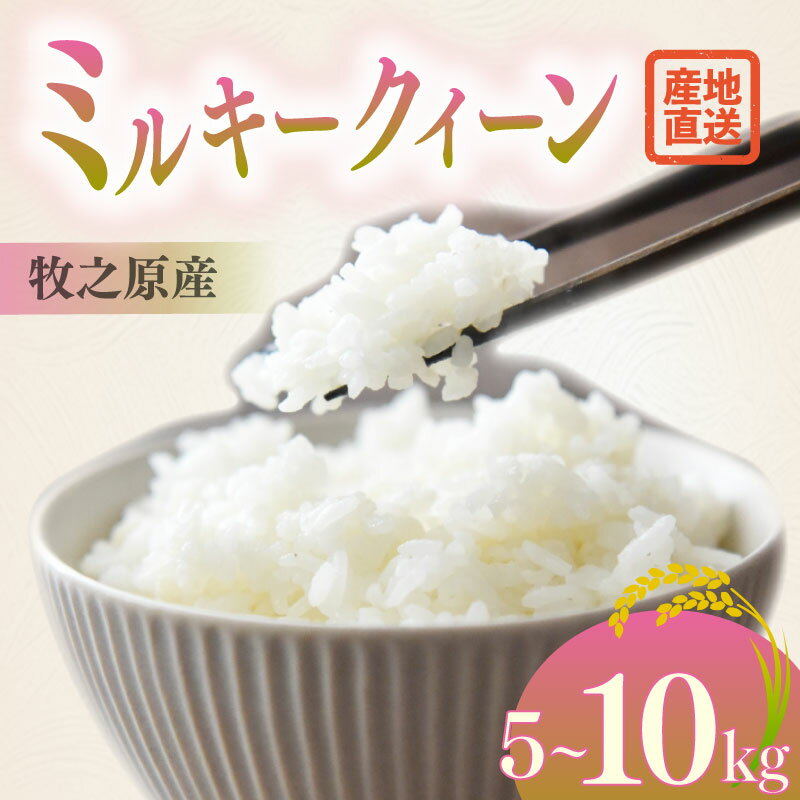 【ふるさと納税】選べる 容量 ミルキークイーン 5kg 〜 10kg お米 米 白米 おこめ こめ 精米 ご飯ごはん おいしい 国産 ごはん ご飯 お米 5kg...