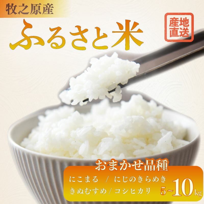 【ふるさと納税】選べる 容量 5kg 〜 10kg お米 品種 おまかせ 【 にこまる にじのきらめき きぬむすめ コシヒカリ 】 お米 米 白米 おこめ こめ...