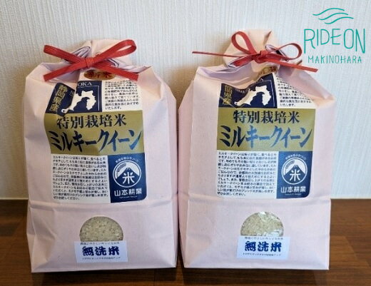 【ふるさと納税】052-7 特別栽培米　ミルキークイーン　無洗米　5キロ×2袋