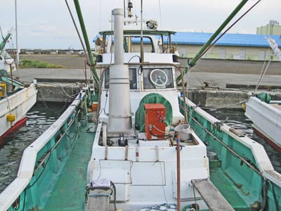 【ふるさと納税】寅さんの釣り船 海宝丸 乗車券 1枚 (釣りもの : 真鯛 イサキ カサゴ) / 魚 体験 太刀魚 静岡県