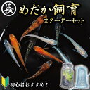 【ふるさと納税】 めだか 飼育 セット 初心者 水槽 インテリア 熱帯魚 観賞魚 アクアリウム 生体 ペット 飼い方 繁殖 餌 水草 ビオトープ 飼育 やり方 ...