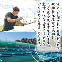 静岡県牧之原市の画像2