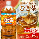 【ふるさと納税】 【定期便】 健康ミネラル むぎ茶 2L × 6本 お届け カフェインゼロ 防災備蓄 茶 ペットボトル 飲料 伊藤園 防災定期便 3ヶ月 もしく...