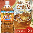 【ふるさと納税】 健康ミネラル むぎ茶 計12本 2L ×6 本 2ケース お届け カフェインゼロ 防災備蓄 茶 ペットボトル 飲料 伊藤園 ノンカフェイン 麦...