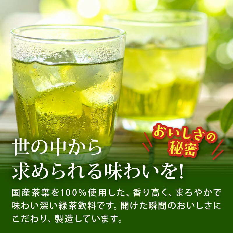 【ふるさと納税】 【定期便6か月】おーいお茶 緑茶 1L × 12本 6回 お届け 防災備蓄 茶 ペットボトル 飲料 伊藤園 防災 お茶