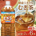 【ふるさと納税】 【定期便3か月】 健康ミネラル むぎ茶 2L × 6本 3回 お届け カフェインゼロ 防災備蓄 茶 ペットボトル 飲料 伊藤園 防災