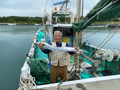 楽天ふるさと納税　【ふるさと納税】寅さんの釣り船 海宝丸 乗車券 1枚 (釣りもの : 真鯛 イサキ カサゴ) / 魚 体験 太刀魚 静岡県