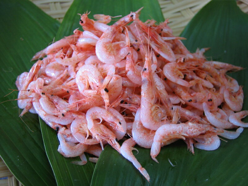 【ふるさと納税】034-1 マルカお勧め駿河湾海の幸セット 釜揚げしらす 100g×2、釜揚げ桜えび 100g×1、たたみしらす 3枚入り、塩蔵わかめ 300g×1