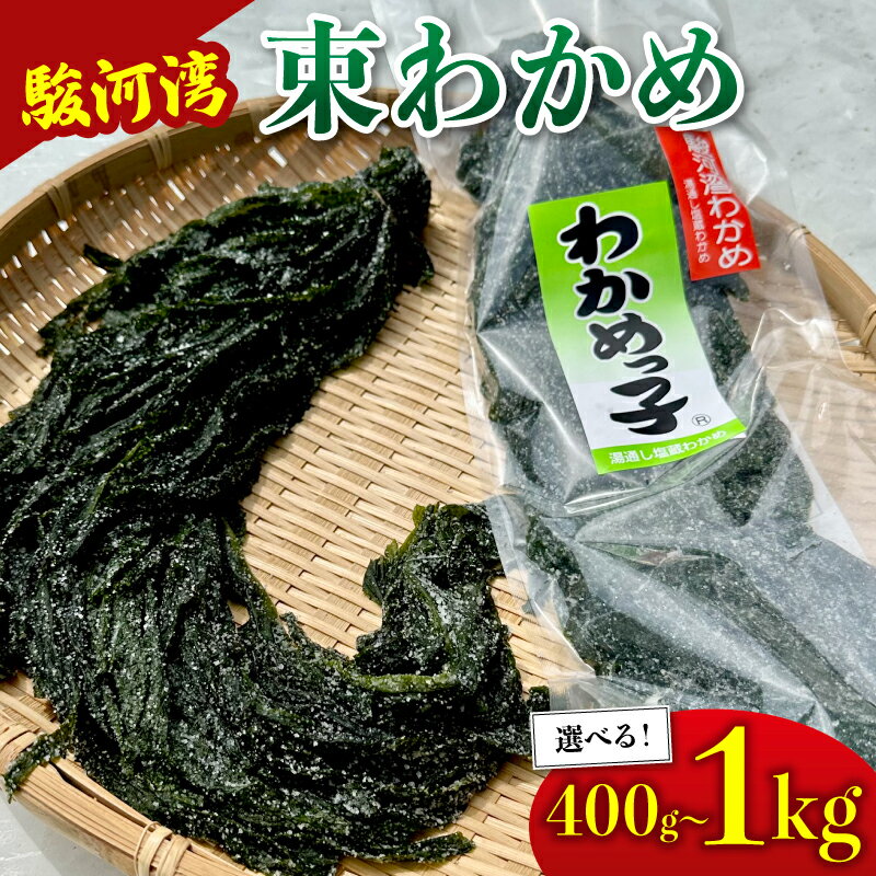 わかめ 駿河湾 束 わかめ 400g ~ 1kg 200g × 2袋 ~ 5袋 海藻 海産物 海鮮 魚介 ワカメ 若布 若芽 味噌汁 スープ 鍋 サラダ 刺身 酢のもの 家庭用 ギフト プレゼント 贈答 産地直送 静岡 選べる 国産 贈り物 小分け 肉厚 塩蔵わかめ 八木康 静岡県 牧之原市
