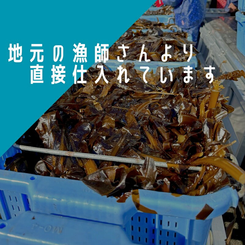 【ふるさと納税】 165-1　駿河湾　束わかめ