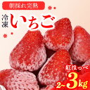 【ふるさと納税】 冷凍 いちご 苺 2~3kg 完熟 紅ほっぺ 選べる ヘタ取り いちご 静岡 限定 苺 冷凍いちご 果物 スイーツ いちご 紅ほっぺ 牧之原市 デザート フルーツ スイーツ アイス ジャム シャーベット ベリー 氷菓 冷凍 甘い オススメ ギフト 人気 牧之原市 森木農園