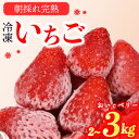 【ふるさと納税】 冷凍 いちご 苺 2~3kg 完熟 おいCベリー ヘタ取り いちご 静岡 限定 苺 冷凍いちご 果物 スイーツ いちご 牧之原市 デザート フルーツ スイーツ アイス ジャム シャーベット ベリー 氷菓 冷凍 甘い オススメ ギフト 人気 牧之原市 森木農園