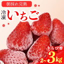 【ふるさと納税】 冷凍 いちご 苺 2~3kg以上 完熟 きらぴ香 ヘタ取り いちご 静岡 限定 苺 冷凍いちご きらぴ香 果物 スイーツ いちご 牧之原市 デザート フルーツ スイーツ アイス ジャム シャーベット ベリー 氷菓 冷凍 甘い オススメ ギフト 人気 牧之原市 森木農園