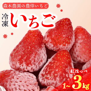 【ふるさと納税】 冷凍 いちご 苺 1~3kg 完熟 紅ほっぺ 選べる ヘタ取り いちご 静岡 限定 苺 冷凍いちご 果物 スイーツ いちご 紅ほっぺ 牧之原市 デザート フルーツ スイーツ アイス ジャム シャーベット ベリー 氷菓 冷凍 甘い オススメ ギフト 人気 牧之原市 森木農園