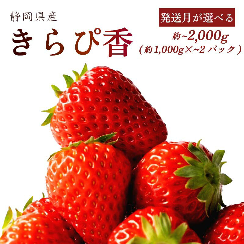 【ふるさと納税】 【発送月が選べる】きらぴ香 1000~2000g 以上 いちご 1000g×2パック イチゴ 冷蔵発送 苺 1kg 2kg 土耕栽培 フルーツ 果物 スイーツ デザート朝摘み 完熟 直送 ギフト 甘い 農家直送 国産 おすすめ 森木農園 静岡県 牧之原市 ～土耕栽培だから濃くて甘い!～
