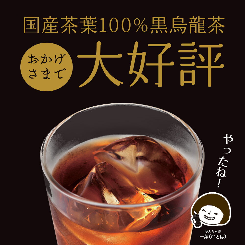 【ふるさと納税】 定期便 3か月 静岡県産 黒烏龍茶 2L × 9本 ペットボトル 黒ウーロン茶 国産 ポリフェノール配合 いなば園 ウーロン茶 お茶 健康飲料 ダイエット サポート 渋み 抗酸化作用 カテキン 体脂肪 燃焼 健康維持 定期配送 牧之原市 静岡県
