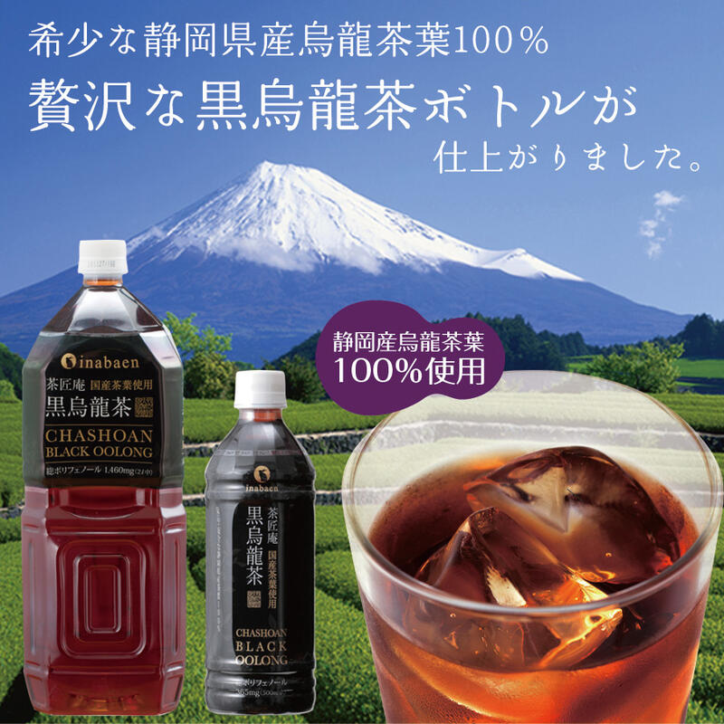 【ふるさと納税】静岡県牧之原産 国産黒烏龍茶ペットボトル 2L×6本 2ケース 黒ウーロン茶 国産 健康 いなば園