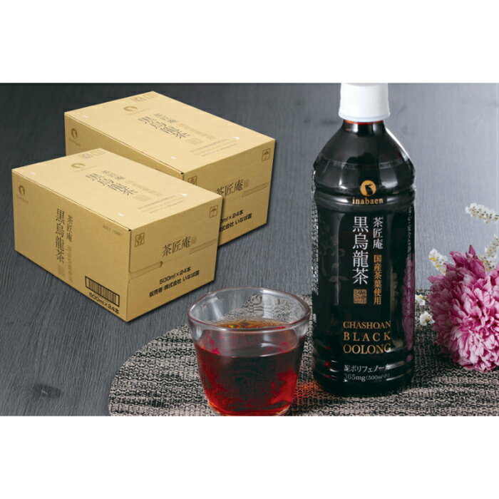 【ふるさと納税】静岡産「黒烏龍茶ペットボトル」 500ml×48本セット 