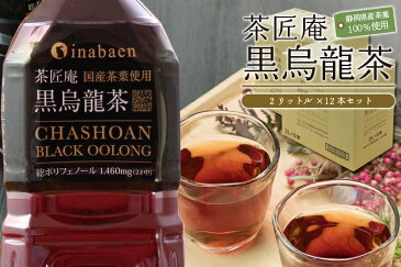 【ふるさと納税】静岡県牧之原産 国産黒烏龍茶ペットボトル 2L×6本 2ケース 黒ウーロン茶 国産 健康 いなば園