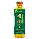 45位! 口コミ数「0件」評価「0」131-41　【機能性表示食品】お～いお茶濃い茶PET600ml×24本　2ケース