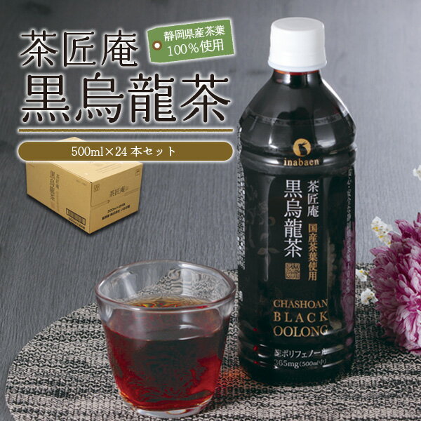 静岡県産 黒烏龍茶 500ml × 24本 ペットボトル 黒ウーロン茶 国産 ポリフェノール配合 いなば園 ウーロン茶 牧之原市 お茶