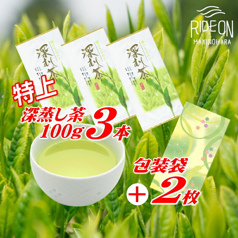 【ふるさと納税】摘みたて！特上深蒸し茶100g×3本　包装袋セット