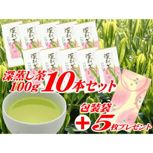 【ふるさと納税】摘みたて!深蒸し茶100g×10本 合計1キロセット包装袋が大人気返礼品になっている理由とは ふるさと納税 人気 返礼品 ランキング