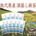【ふるさと納税】 【5月より新茶出荷】 牧之原産 おいしい 新茶 11本 セット お茶 茶 深蒸し 煎茶 旬 日常 のし 熨斗 贈答 ギフト 静岡県 牧之原市 ...
