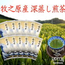 【ふるさと納税】牧之原産深蒸し煎茶「白富士」12本セット