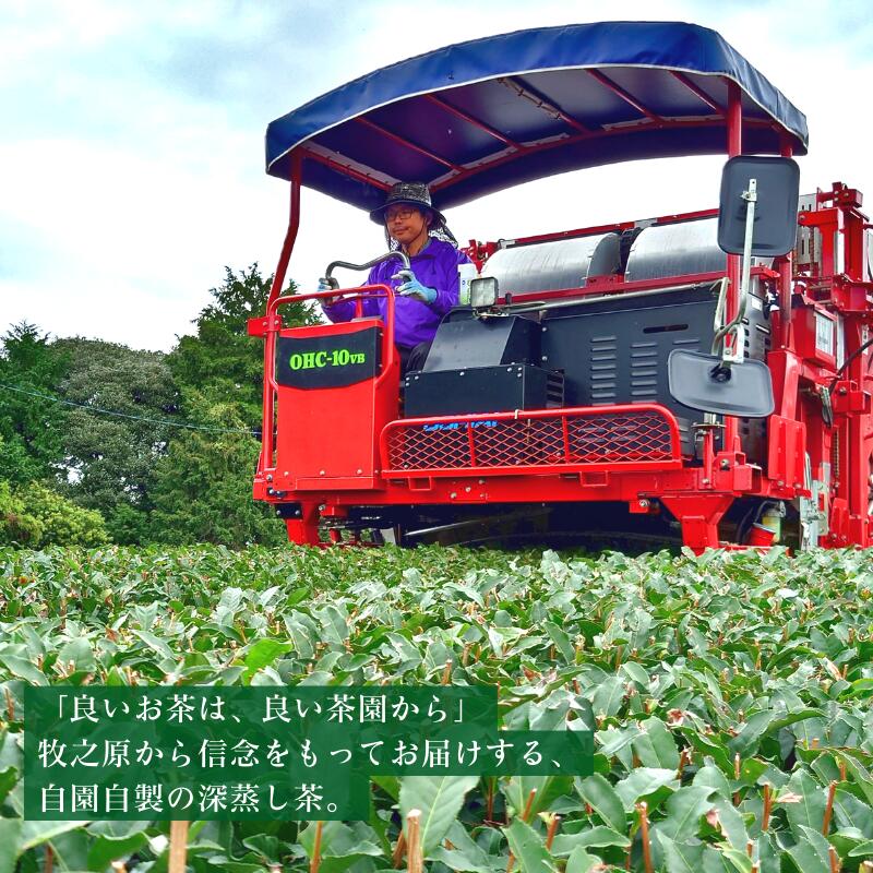 【ふるさと納税】155-1 静岡牧之原産 やぶきた深蒸し茶200g入り 3袋