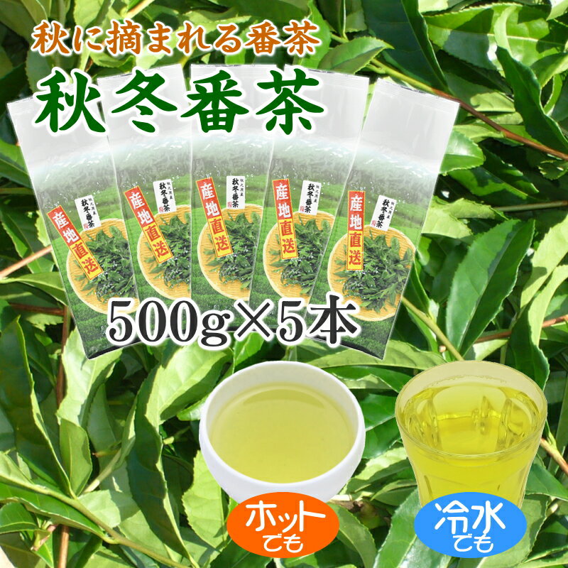 【ふるさと納税】 038-13　秋冬番茶　500g×5本