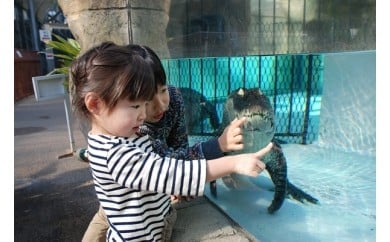 【ふるさと納税】熱川バナナワニ園　入園　招待券　4枚　B002／熱帯　動植物園　チケット　静岡県　東伊豆町