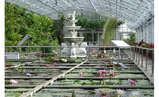 【ふるさと納税】熱川バナナワニ園入園招待券2枚A004/熱帯動植物園チケット静岡県東伊豆町