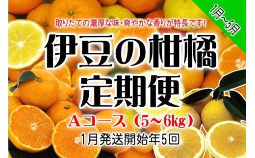 【ふるさと納税】東伊豆産　伊豆の柑橘　定期便　Aコース　D010／収穫体験農園ふたつぼり　はるか　伊予柑　オレンジ　甘夏　みかん　静岡県　東伊豆町