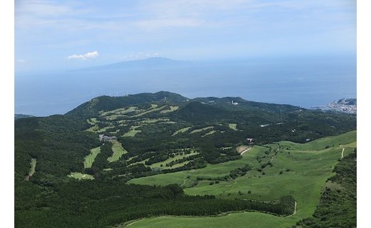 【ふるさと納税】稲取ゴルフクラブ　昼食付　ペア　1ラウンドセルフプレー券　D006／チケット　利用券　静岡県　東伊豆町