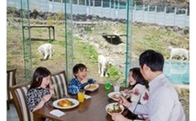 伊豆アニマルキングダム 入園券 2枚 A003 / 動物園 チケット 招待券 静岡県 東伊豆町