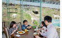 「伊豆アニマルキングダム」は動物とのふれあいにこだわった動物園です。 「レストランアニマルキングダム」ではホワイトタイガーやライオンたちをガラス越しに見ながら食事ができる全国でもめずらしいエキサイティングなレストランです。 商品説明 名称 伊豆アニマルキングダム 入園券 2枚 A003 内容量 入園券(2枚) 有効期限 1年間 提供者 伊豆アニマルキングダム 【発送について】 通常はご寄付頂いてから1～2ヶ月ほどでお届けします。 (11月下旬から寄付が多くなり、入金確認後～最長で6カ月程度かかる場合がございます。) 返礼品は個別発送となっております。 複数お選びいただいた場合は、同じ返礼品でも個別の発送となり、到着日が前後する場合がございます。 ご了承のほどお願いいたします。 受取日の指定は対応出来兼ねます。 12月20日から翌年1月10日までは、発送対応出来兼ねます。 事前に2日以上の不在日がおわかりであれば、寄付直後に当方までお知らせください。 不在配達時は運送業者で保管となります。季節によっては品質に影響を及ぼす恐れがございます。 【受取後のお願い】 すぐにお礼品の状態をご確認ください。 お礼品に不備がございましたら受け取った状態で保管していただき、受取日のうちに当方までご連絡をお願い致します。 【ご注意ください】 運送上中継等で日数の掛かる地域の方は、お礼品の内容をご理解の上、ご寄付をご検討ください。 お届けできず運送業者の保管期限を経過した場合は、運送業者のルール上、やむを得ず当方へ返送されます。 その場合、再発送の対応は出来兼ねます。 不備に関する返品等のご対応は、受取から日にちが経過すると対応出来なくなります。 また、返礼品発送のタイミングと、お引越し等による配送先登録住所が異なる場合もございます。早急に変更のご連絡をお願い致します。 ご連絡が遅くなり、旧住所へ配送され当方へ返送された場合も、再発送の対応は致しかねますので予めご了承ください。 【キャンセルついて】 ふるさと納税は「寄付」となりますので、寄付のお申込み手続きが完了した後にキャンセルすることはできません。 重複でのお申込みやご名義に誤りなどがないようご注意ください。 ※寄付お申込み前に上記をあらかじめご了承ください。 ・寄付申込みのキャンセル、返礼品の変更・返品はできません。寄付者の都合で返礼品が届けられなかった場合、返礼品等の再送はいたしません。あらかじめご了承ください。 ・この商品はふるさと納税の返礼品です。スマートフォンでは「買い物かごに入れる」と表記されておりますが、寄付申込みとなりますのでご了承ください。 ・ふるさと納税よくある質問はこちら「ふるさと納税」寄付金は、下記の事業を推進する資金として活用してまいります。 寄付を希望される皆さまの想いでお選びください。 (1) 教育環境整備及び子育て支援 (2) 地域福祉充実 (3) 生活環境施設等整備充実 (4) 指定事業 (5) 町長におまかせ 特段のご希望がなければ、町政全般に活用いたします。 入金確認後、注文内容確認画面の【注文者情報】に記載の住所にお送りいたします。 発送の時期は、寄付確認後20日以内を目途に、お礼の特産品とは別にお送りいたします。