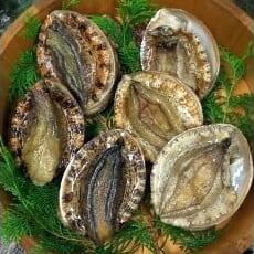 伊豆 天然 アワビ セット (大) D018／（株）稲取水産 新鮮 活 厳選 静岡県 東伊豆町