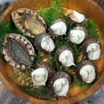 伊豆 天然 サザエ アワビ セット (中) C021／稲取水産 新鮮 活 厳選 静岡県 東伊豆町