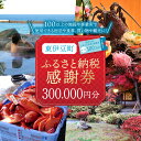 【ふるさと納税】東伊豆町 ふるさと納税 感謝券 300000円 1080 / 静岡県 旅行 宿泊 食事 観光 チケット クーポン 補助 リフォーム ホテル 動物...