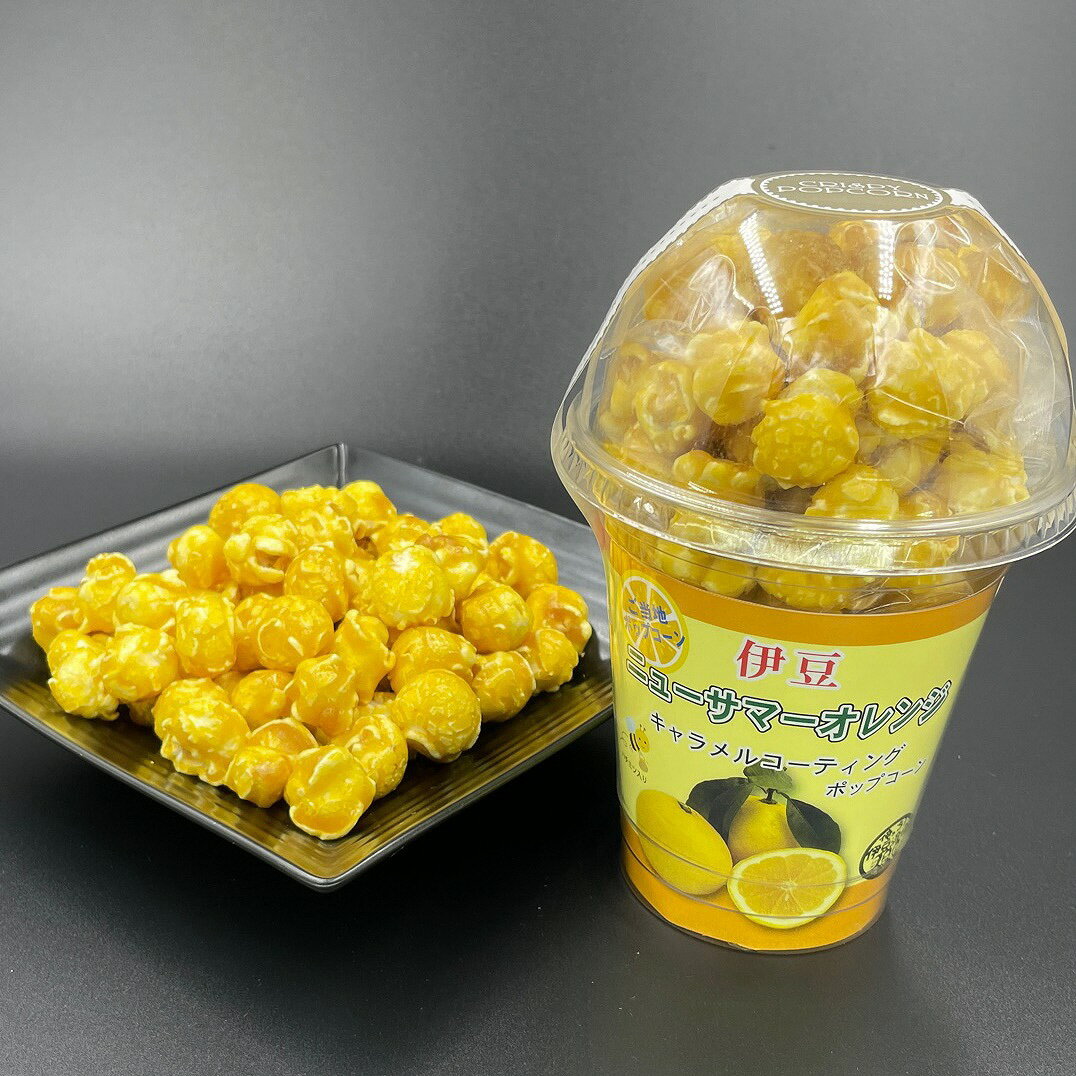 【ふるさと納税】大容量 伊豆ニューサマーポップコーン 10個セット 1285