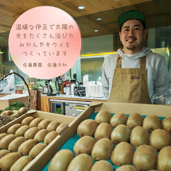 【ふるさと納税】東伊豆・佐藤農園のポンカン　贈答用3kg（Mサイズ～3Lサイズ） 1318 ／ 佐藤農園 果物 フルーツ 農家直送 静岡県 東伊豆町 f223018-higashiizu-10000609 静岡県東伊豆町 サンプル画像3