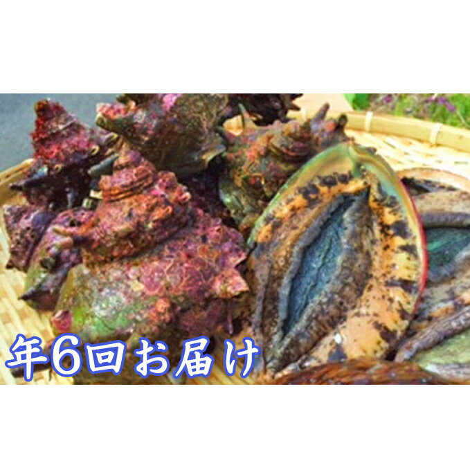 【ふるさと納税】年6回 海からのおくり物　【海老・伊勢エビ・魚介類・あわび・アワビ・鮑・魚貝類・干物】